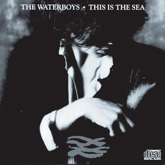 Happy Anniversary: The Waterboys, This Is The Sea